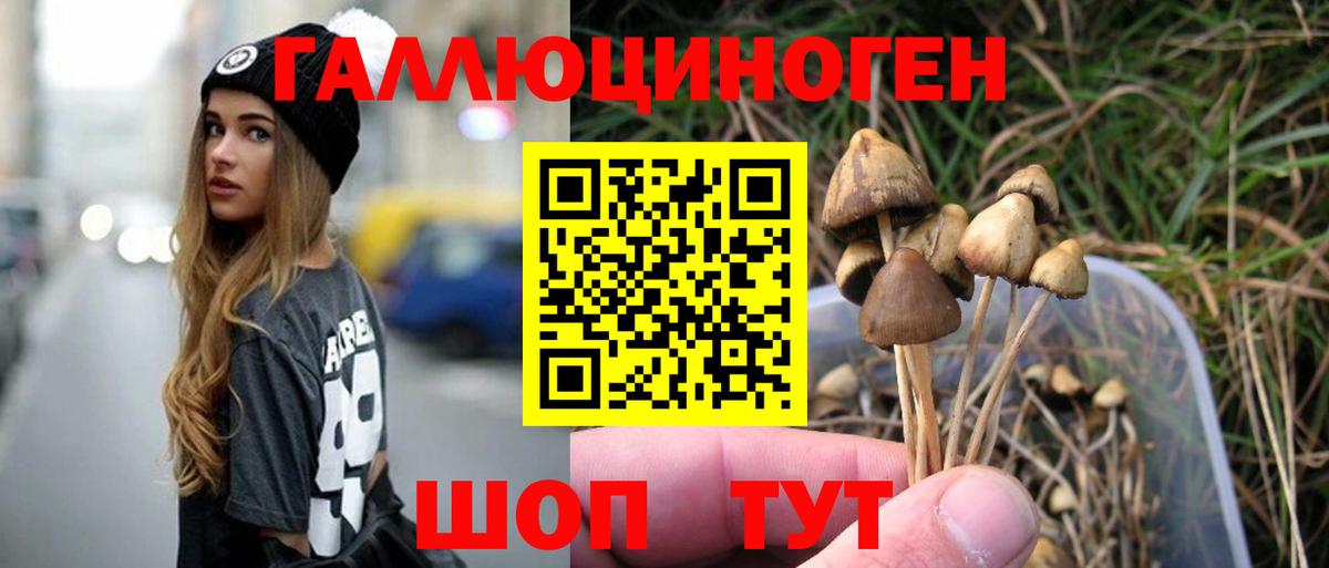 Галлюциногенные грибы мицелий Чита